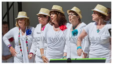 2013 Muziektuin Fotograaf (39).jpg